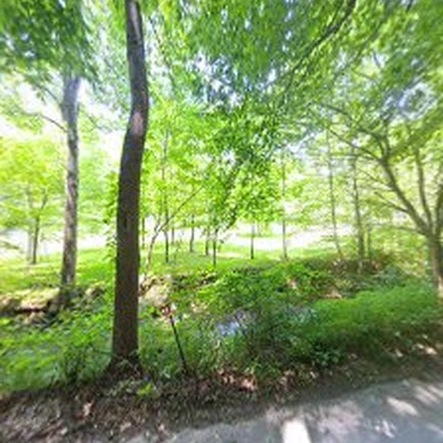 Natural Expressions Landscaping
