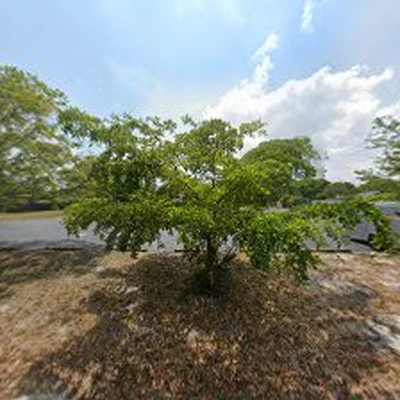 Mr Jay's Landscaping services LLC