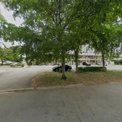 Evergreen Tree trimming & landscaping