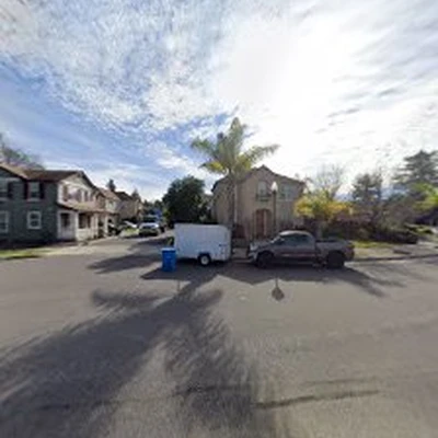 Terra verde tree service LLC