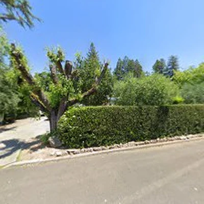Tony's Landscaping and tree services