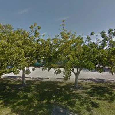 Island Lawn Care and Landscaping