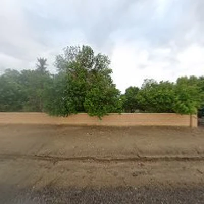 Paradise Landscape Management