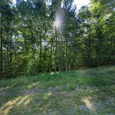 Phoenix Lawn Care and Landscaping LLC