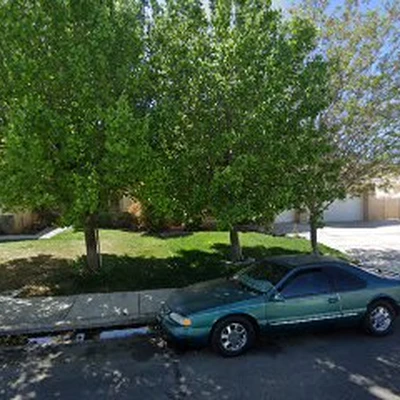 Salazar Landscaping