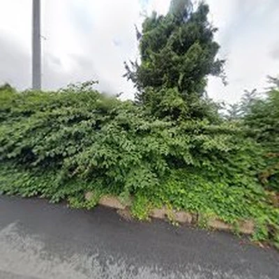 Mountain View Landscapes and Lawncare