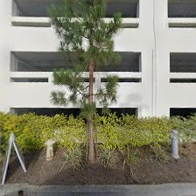 CCS Facility Services