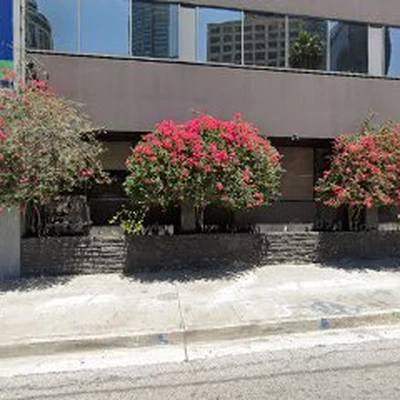 Prestige Window Cleaning CO.