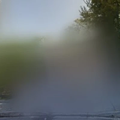 Eco Mist Carpet Cleaning Solution