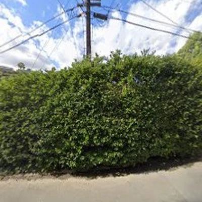 &