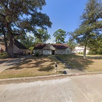 Houston Amazon Maids