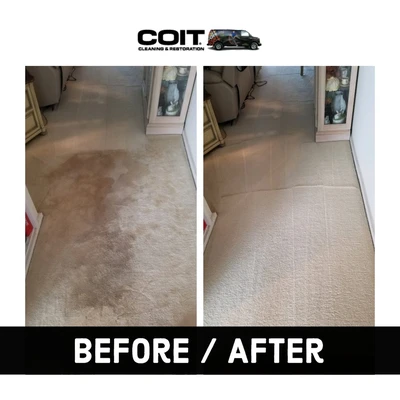COIT Cleaning and Restoration