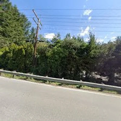 Emover LLC. Elephant Cleaning LLC；大象搬家 清洁公司