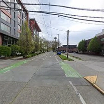Seattle Moss Removal