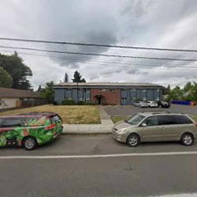 Green Genie Magic Cleaning