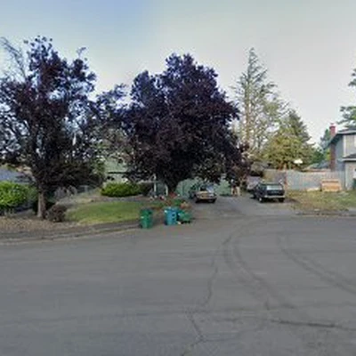 Nelson's Painting & Chimney Cap Cleaning Services