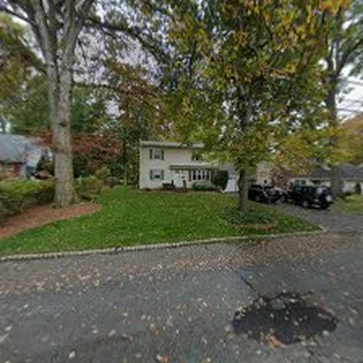 Pickwick Chimney repair and cleaning