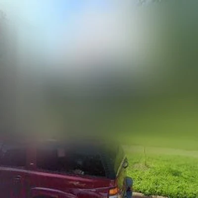Squeegee Alex LLC