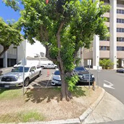 Maid In Oahu