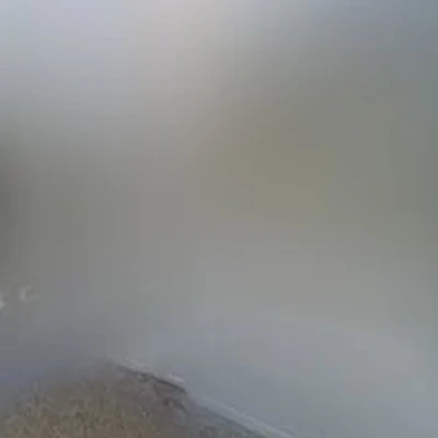 Clearly Visible Property Maintenance