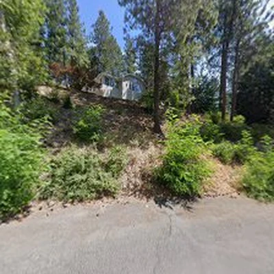 Total Green | Best Carpet Cleaning Services
