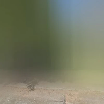 &