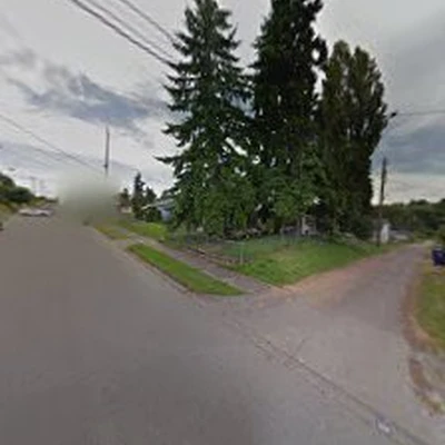 Tidy Trees Service Tacoma