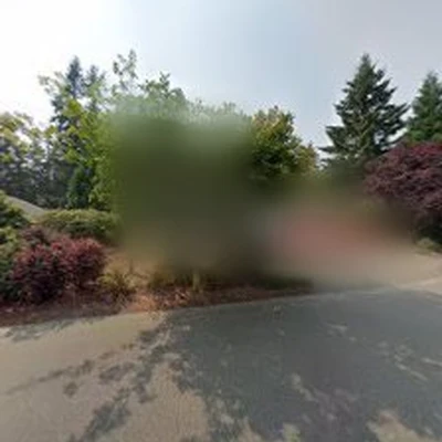 Porcher Pressure Washing