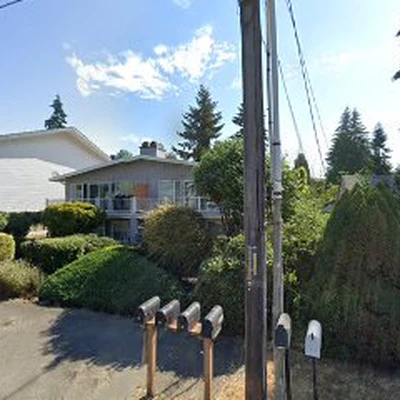 Pros Burien Chimney Cleaning