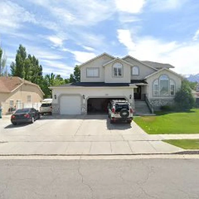 Green Solution organic carpet cleaning