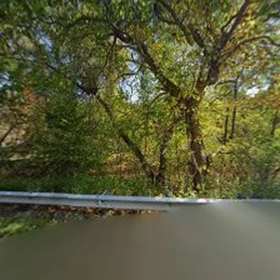 Adam's Tree Service
