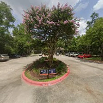 The Woodlands Carpet Cleaning