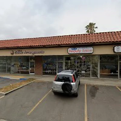 PureGuard Roof Cleaning Services