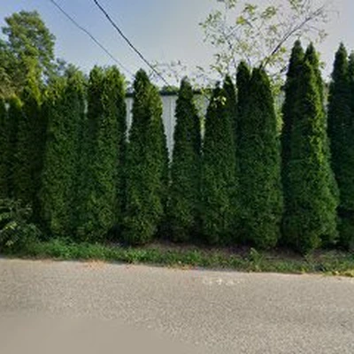Hunter Tree Service