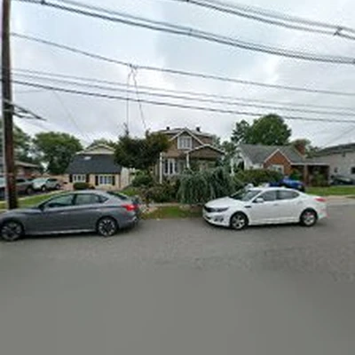 Treeminator Tree Services