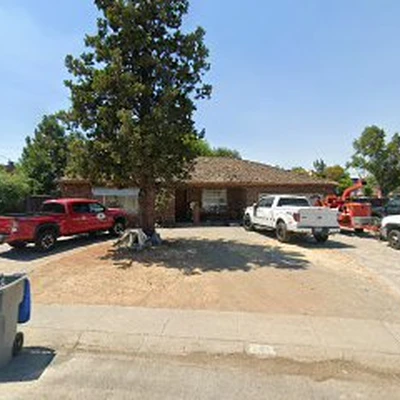 Sam's Tree Service