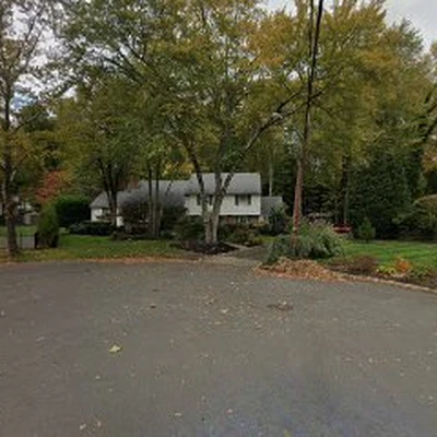 Iler Tree Services