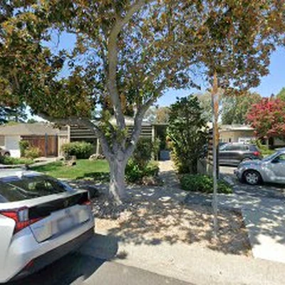 Palo Alto Tree Service