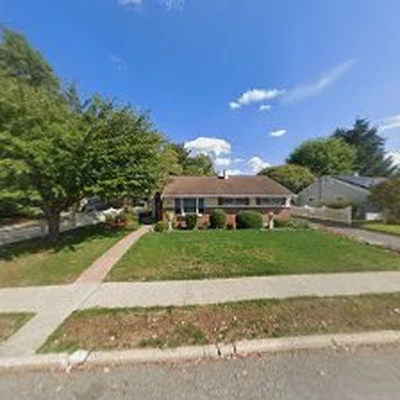 Woody Tree Service, Inc.