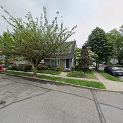 Tree Services Nassau & Queens County NY - Arbor-Pro