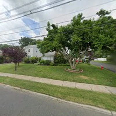 New Jersey Tree Professional