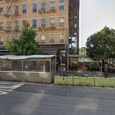 Discount Tree Cutting Company in Manhattan