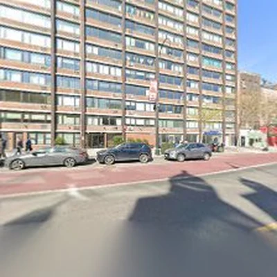 New York Plantings
