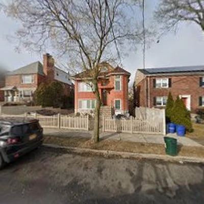 MM Bronx Tree Service - bronx Tree Cutting, bronx Tree Trimming, bronx Tree Removal, stump grinding,