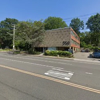 Long Island Tree Removals