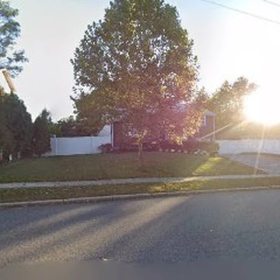 All American Tree Service