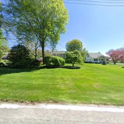 Shade Tree Services Co LLC