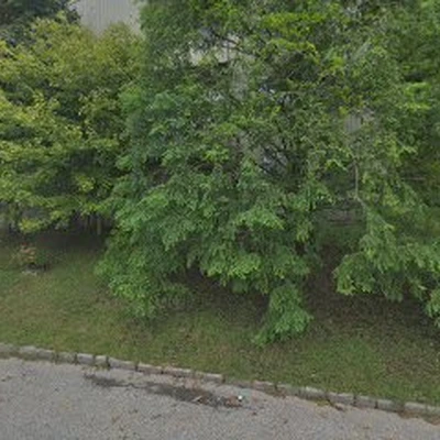 Condon Tree Services