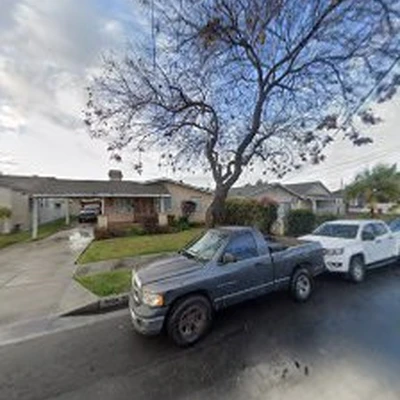 Best Tree Trimming & Removal