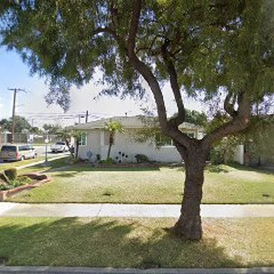 Affordable Tree Servicing